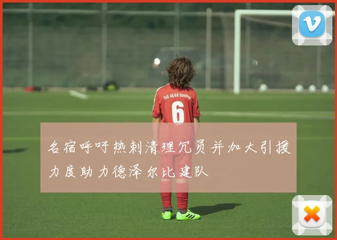 名宿呼吁热刺清理冗员并加大引援力度助力德泽尔比建队